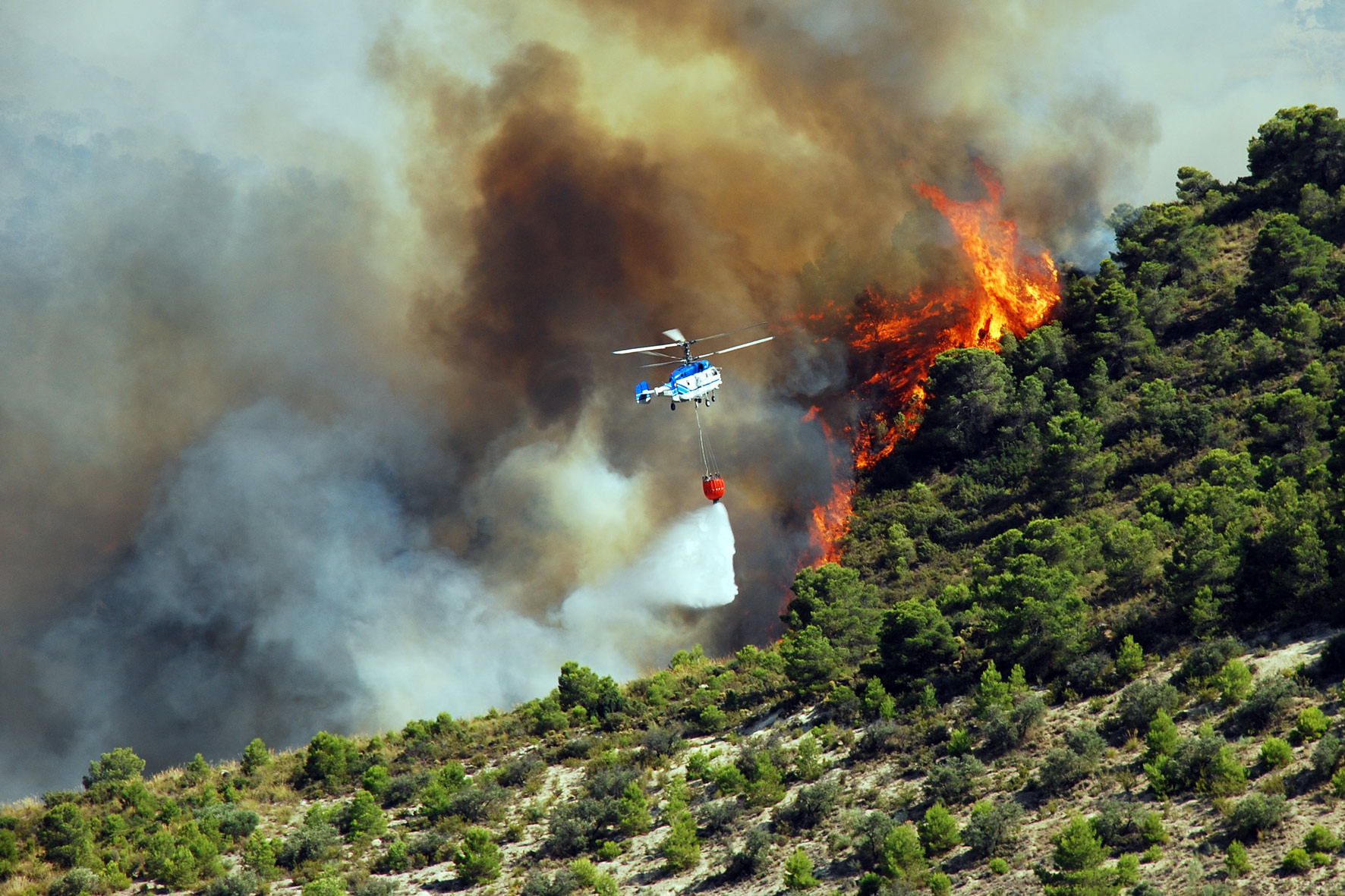 Resultado de imagen para brigadistas neuquen incendio