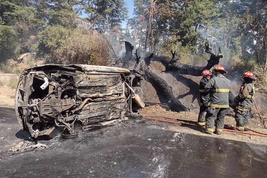 Fotos: Bomberos Voluntarios de Villa la Angostura.