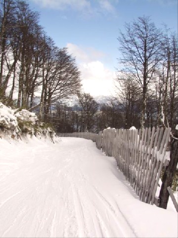 La nieve juega con las formas en los senderos