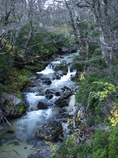 El agua baja, presurosa, hacia el Nahuel Huapi