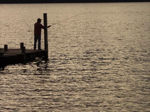 El hombre que espera paciente a su presa