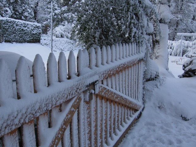 La nieve dibujando la cerca