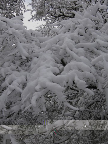 La nieve y sus dibujos extraños