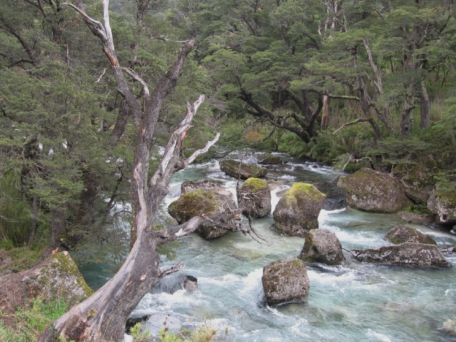 La naturaleza que fluye